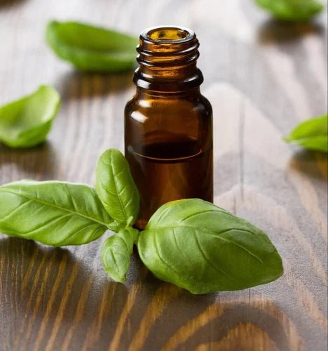Basil Essential Oil - Desi Attar - desiattar - longlastingattar