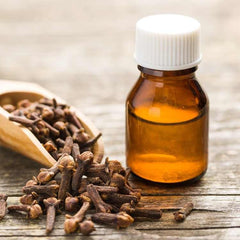 Clove Bud Essential Oil
