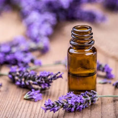 लैवेंडर का तेल | Lavender Oil - Desi Attar