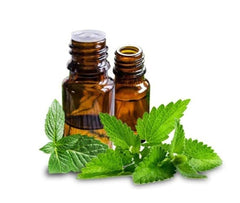 Peppermint Oil