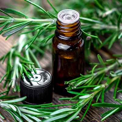 रोजमेरी का तेल | Rosemary Oil - Desi Attar