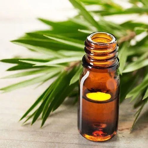 Tea Tree Essential Oil - Desi Attar - desiattar - longlastingattar